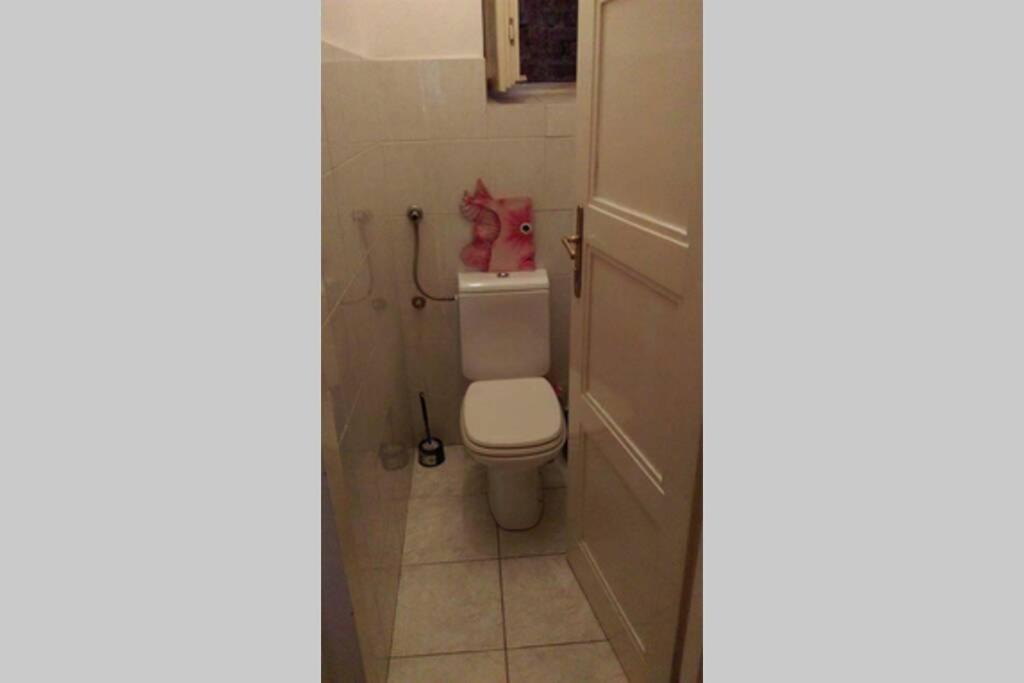 Cozy Appartment In The City Center Ζάγκρεμπ Εξωτερικό φωτογραφία